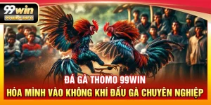 Đá Gà Thomo 99WIN – Hòa mình vào không khí đấu gà chuyên nghiệp