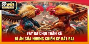 Vảy Gà Chọi Thần Kê – Bí ẩn của những chiến kê bất bại