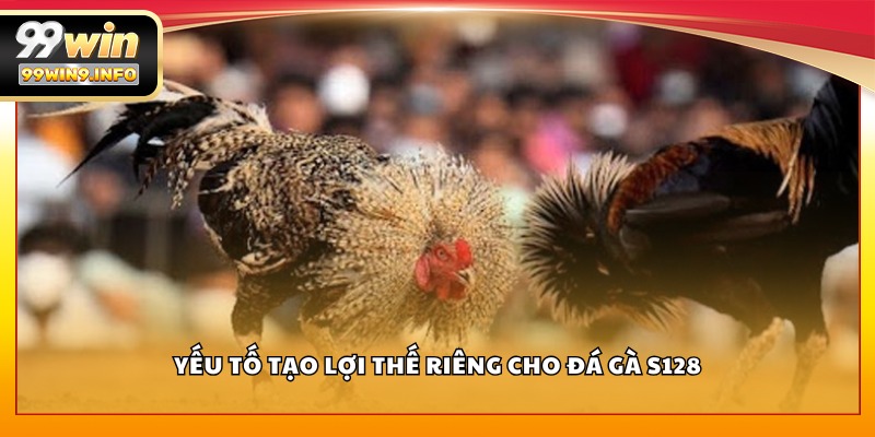 Yếu tố tạo lợi thế riêng cho Đá Gà S128
