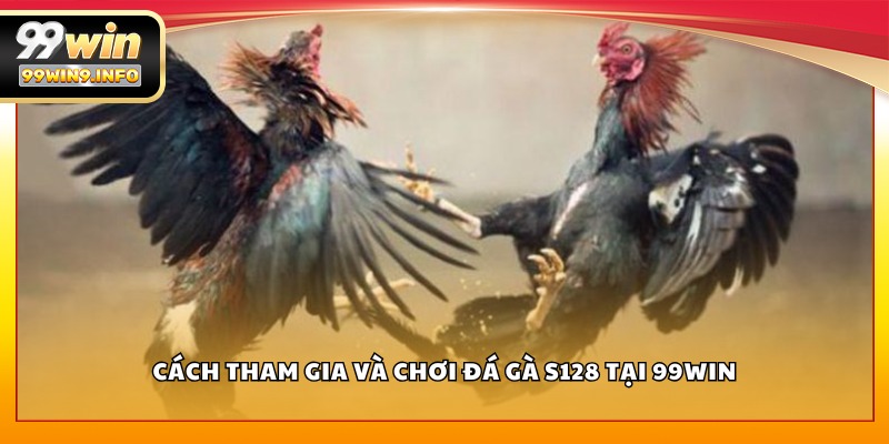 Cách tham gia và chơi Đá Gà S128 tại 99WIN