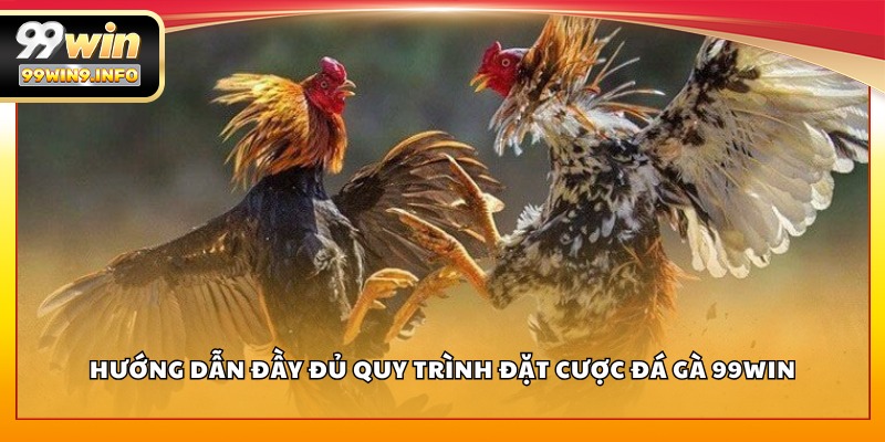 Hướng dẫn đầy đủ quy trình đặt cược đá gà 99WIN