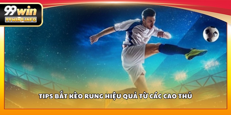 Tips bắt kèo rung hiệu quả từ các cao thủ